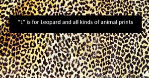 animal print - leopard